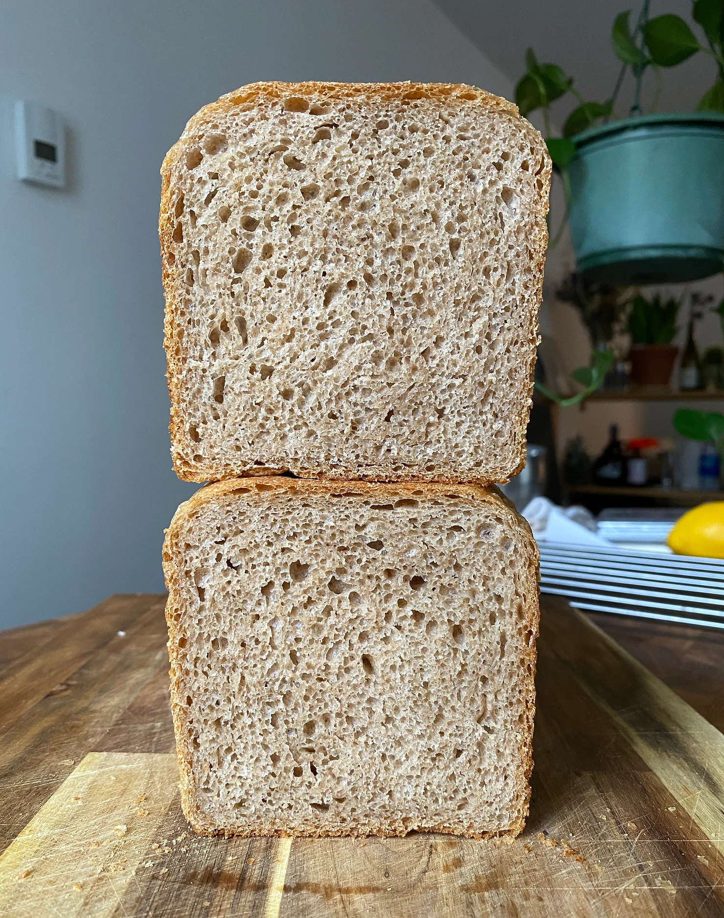 Picture for Spelt Sandwich Bread