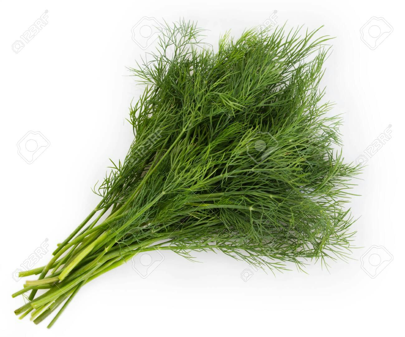 of dill