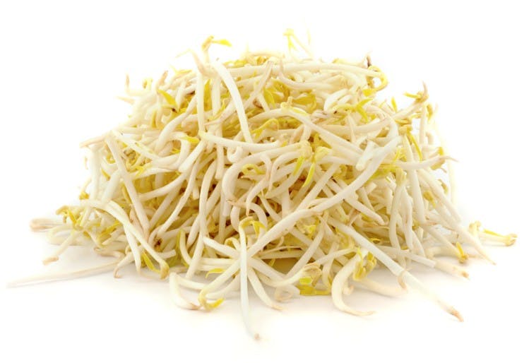 handfull soy bean sprouts