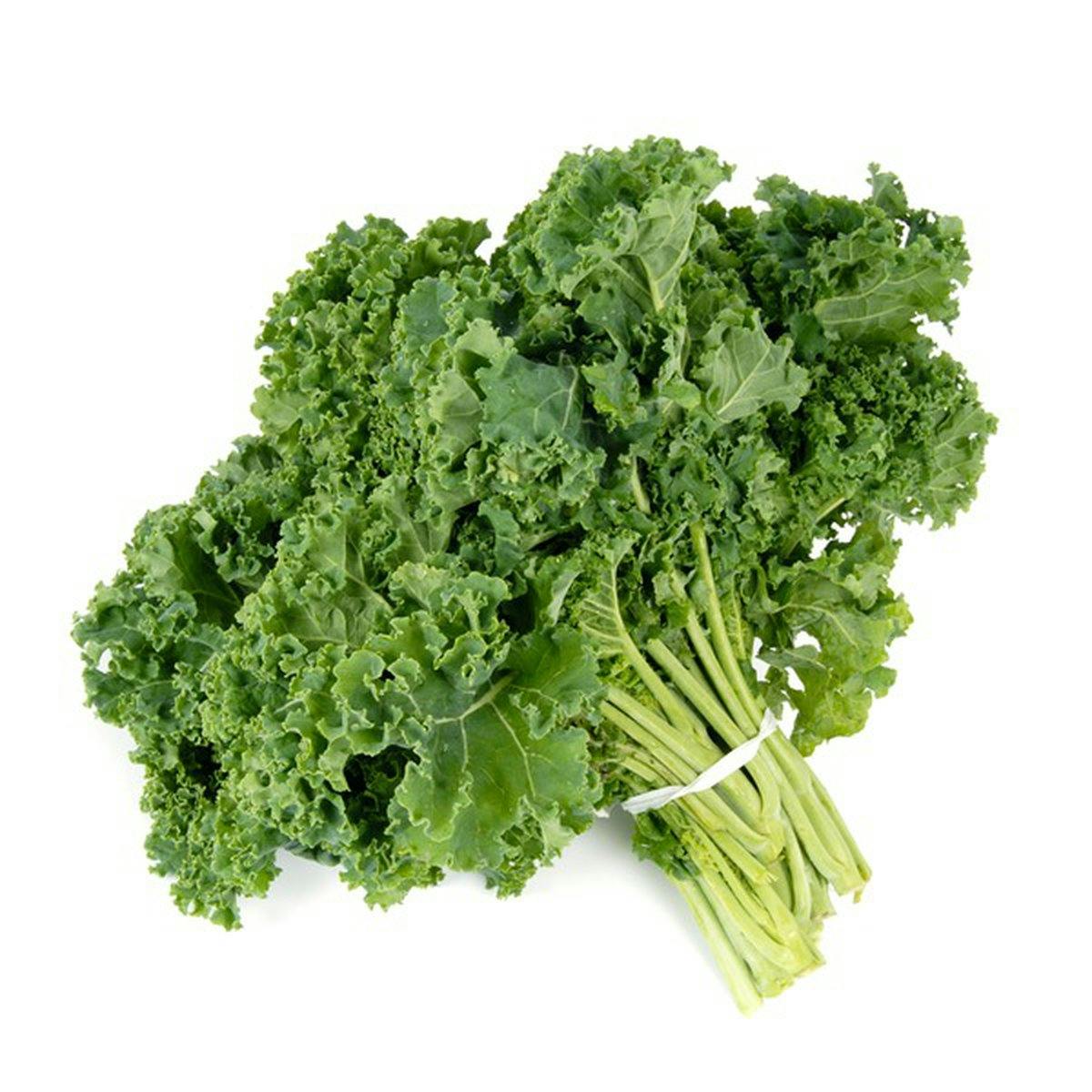 Head of Curly Kale 