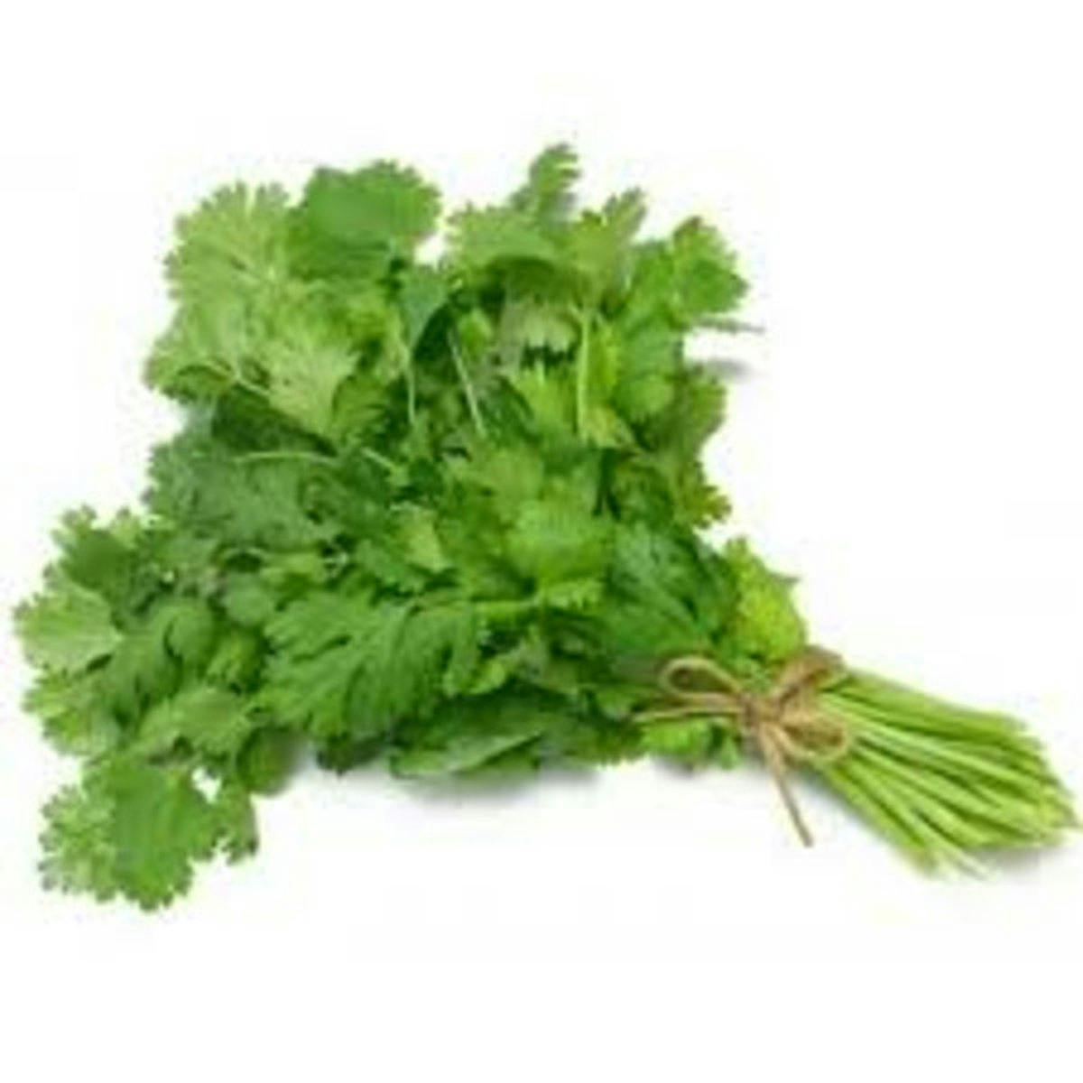 of cilantro, whole leaves