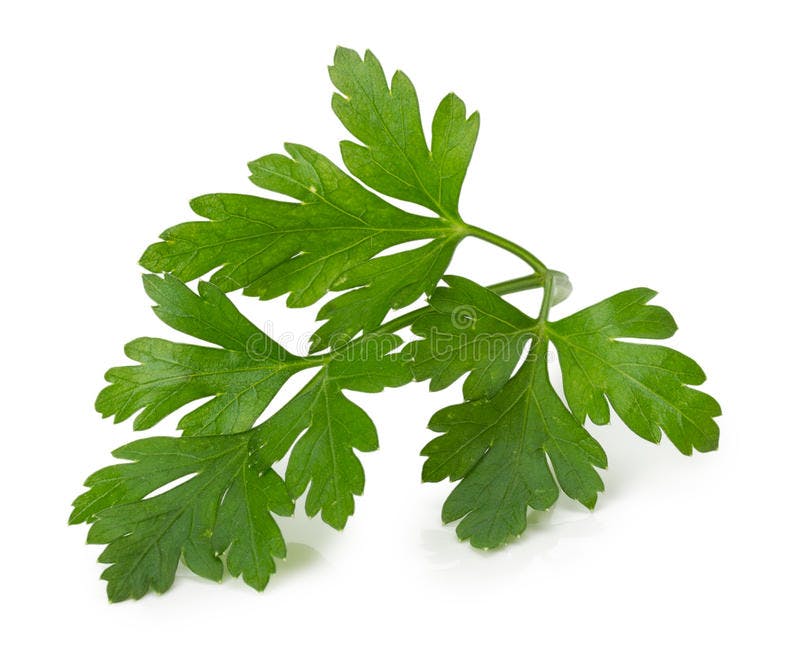 of parsley, whole leaves