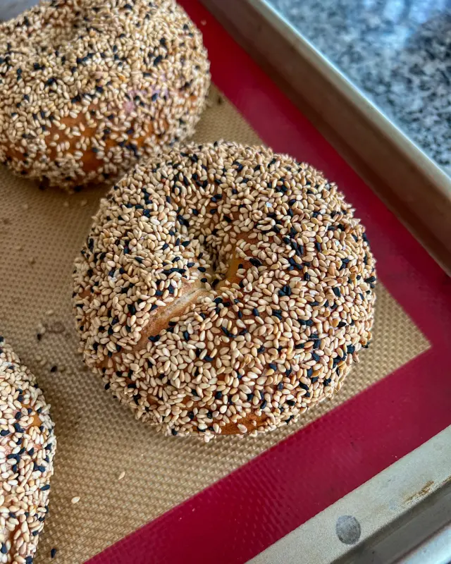 Sesame Bagel