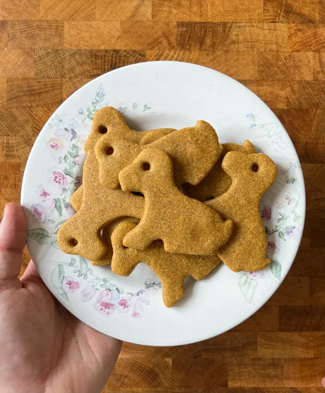 Pumpkin Peanut Butter Dog Treats